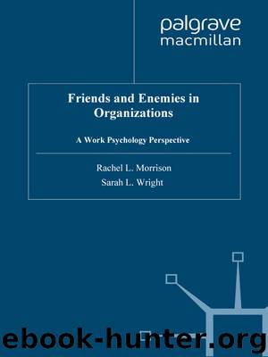 Friends and Enemies in Organizations by Rachel L. Morrison & Sarah L. Wright