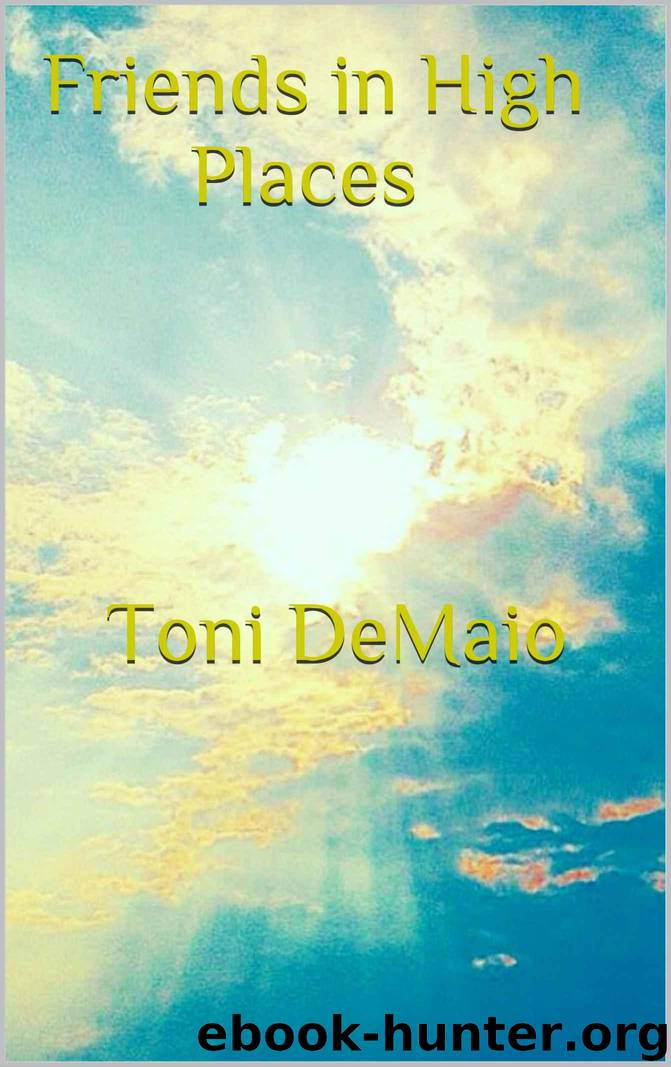 Friends in High Places by DeMaio Toni