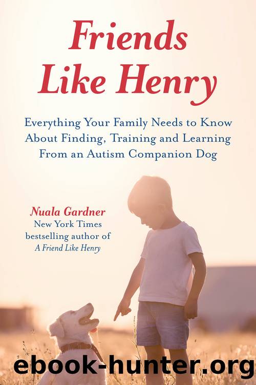Friends like Henry by Nuala Gardner