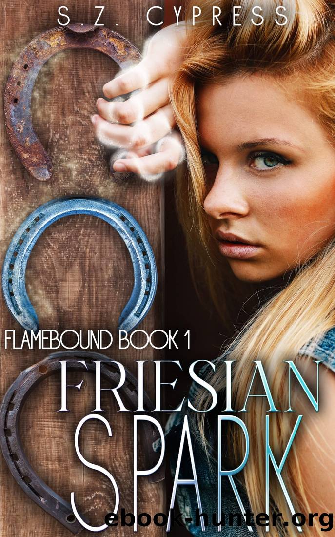 Friesian Spark (Flamebound Book 1) by S.Z. Cypress