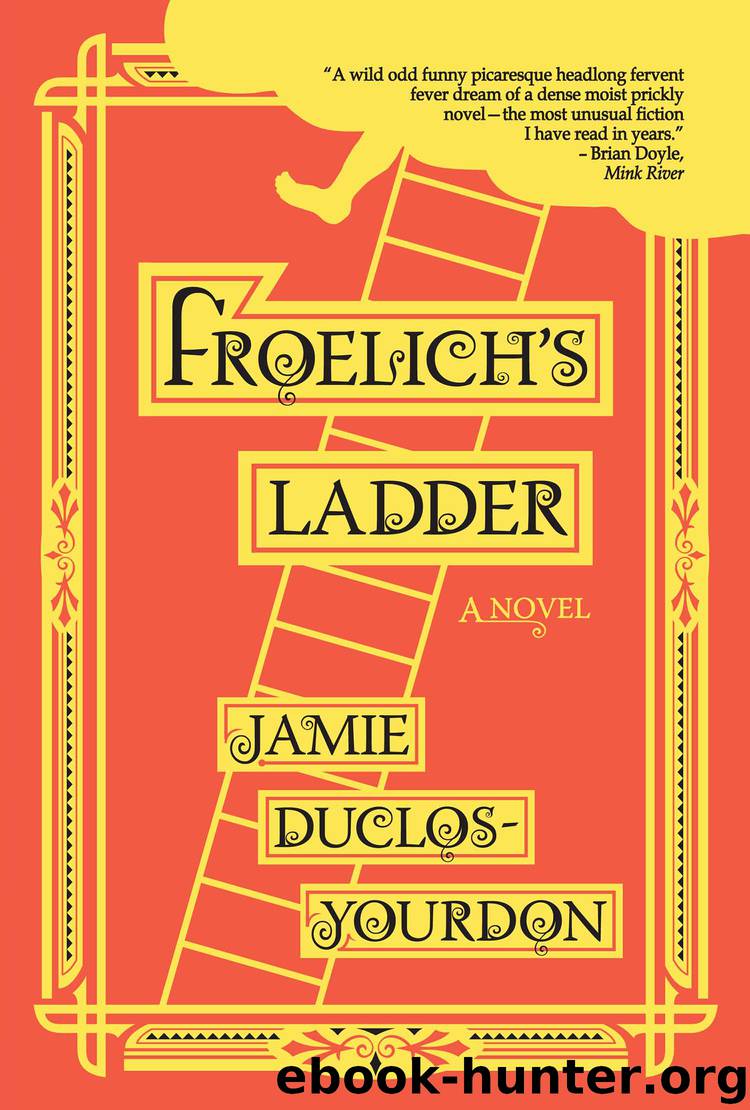 Froelich's Ladder by Jamie Duclos-Yourdon