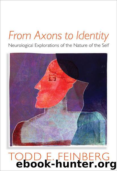 From Axons to Identity: Neurological Explorations of the Nature of the Self (Norton Series on Interpersonal Neurobiology) by Feinberg Todd E