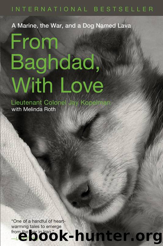 From Baghdad with Love by Jay Kopelman