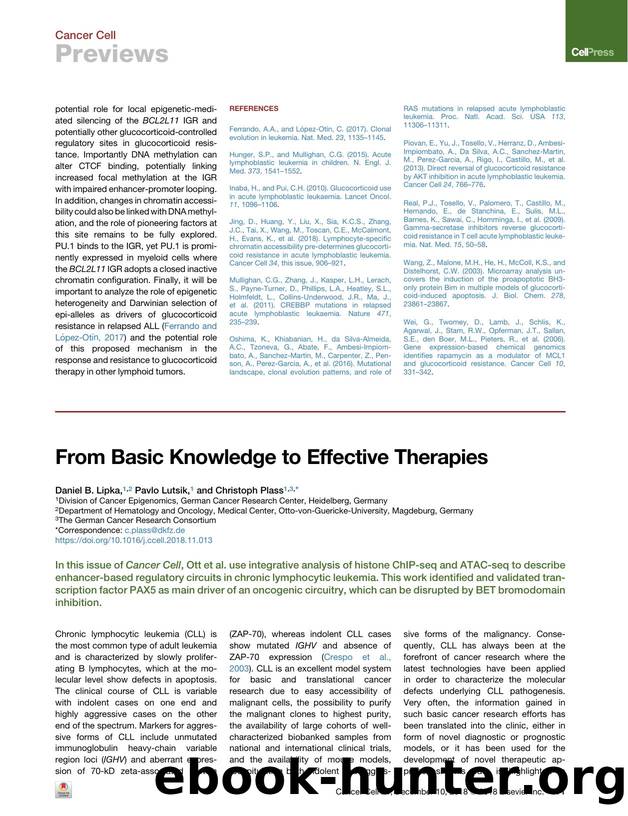 From Basic Knowledge to Effective Therapies by Daniel B. Lipka & Pavlo Lutsik & Christoph Plass