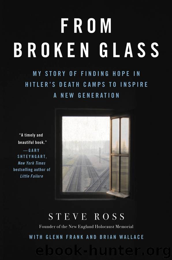 From Broken Glass by Steve Ross
