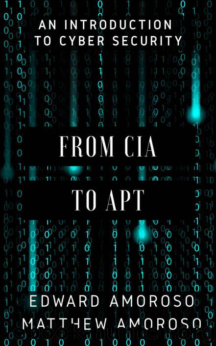 From CIA to APT: An Introduction to Cyber Security by Edward G. Amoroso & Matthew E. Amoroso