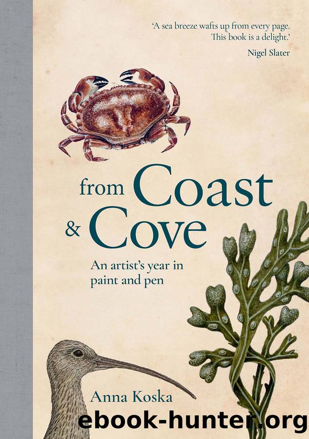 From Coast & Cove by Anna Koska