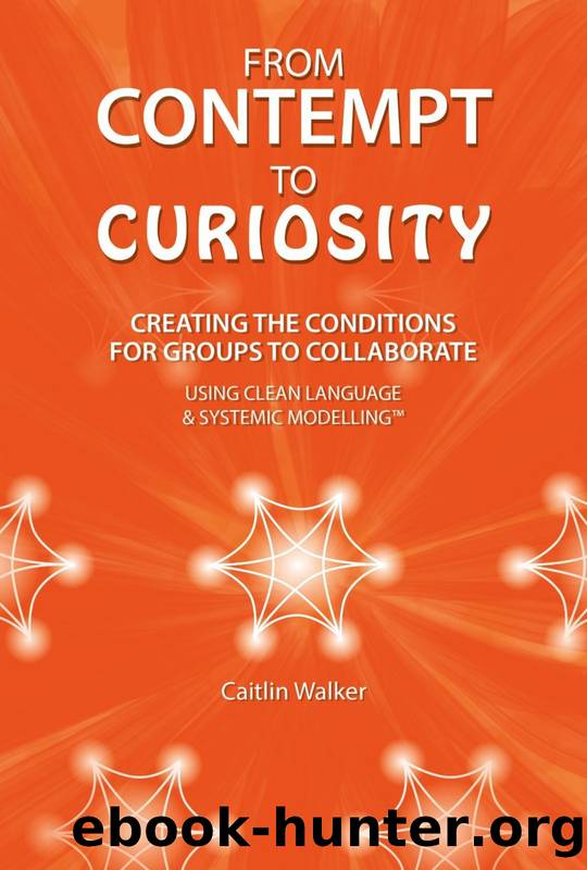 From Contempt to Curiosity by Caitlin Walker