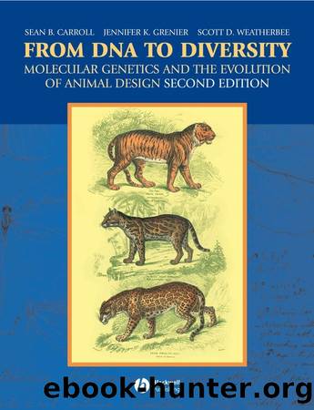 From DNA to Diversity by Grenier Jennifer Weatherbee Scott Carroll Sean B. & Jennifer K. Grenier & Scott D. Weatherbee