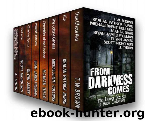 From Darkness Comes: The Horror Box Set by J. Thorn & Tw Brown & Kealan Patrick Burke & Michaelbrent Collings & Mainak Dhar & Brian James Freeman & Glynn James & Scott Nicholson