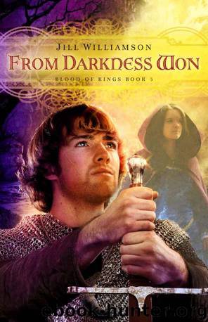 From Darkness Won (Blood of Kings, book 3) by Williamson Jill