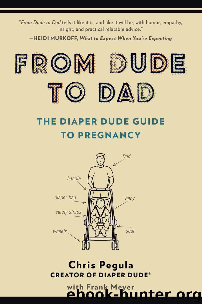 From Dude to Dad by Chris Pegula