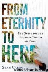 From Eternity to Here by Sean Carroll