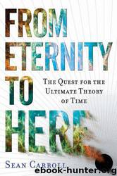 From Eternity to Here: The Quest for the Ultimate Theory of Time by Sean M. Carroll