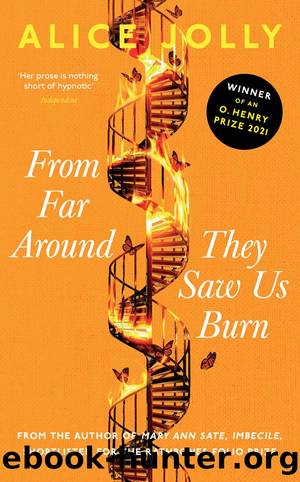 From Far Around They Saw Us Burn by Alice Jolly