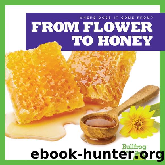 From Flower to Honey by Penelope S. Nelson