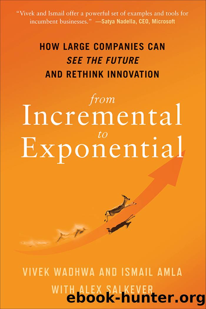 From Incremental to Exponential by Vivek Wadhwa & Ismail Amla & Alex Salkever