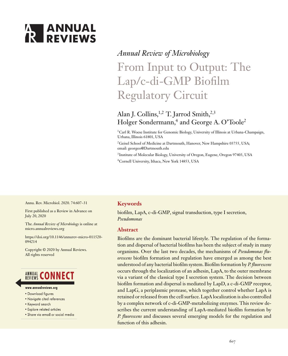 From Input to Output: The Lapc-di-GMP Biofilm Regulatory Circuit by Alan J. Collins T. Jarrod Smith Holger Sondermann George A. O'Toole