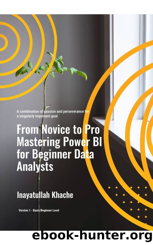 From Novice to Pro: Mastering Power BI for Beginner Data Analysts: Essential Techniques for Turning Data into Actionable Insights by Khache Inayatullah