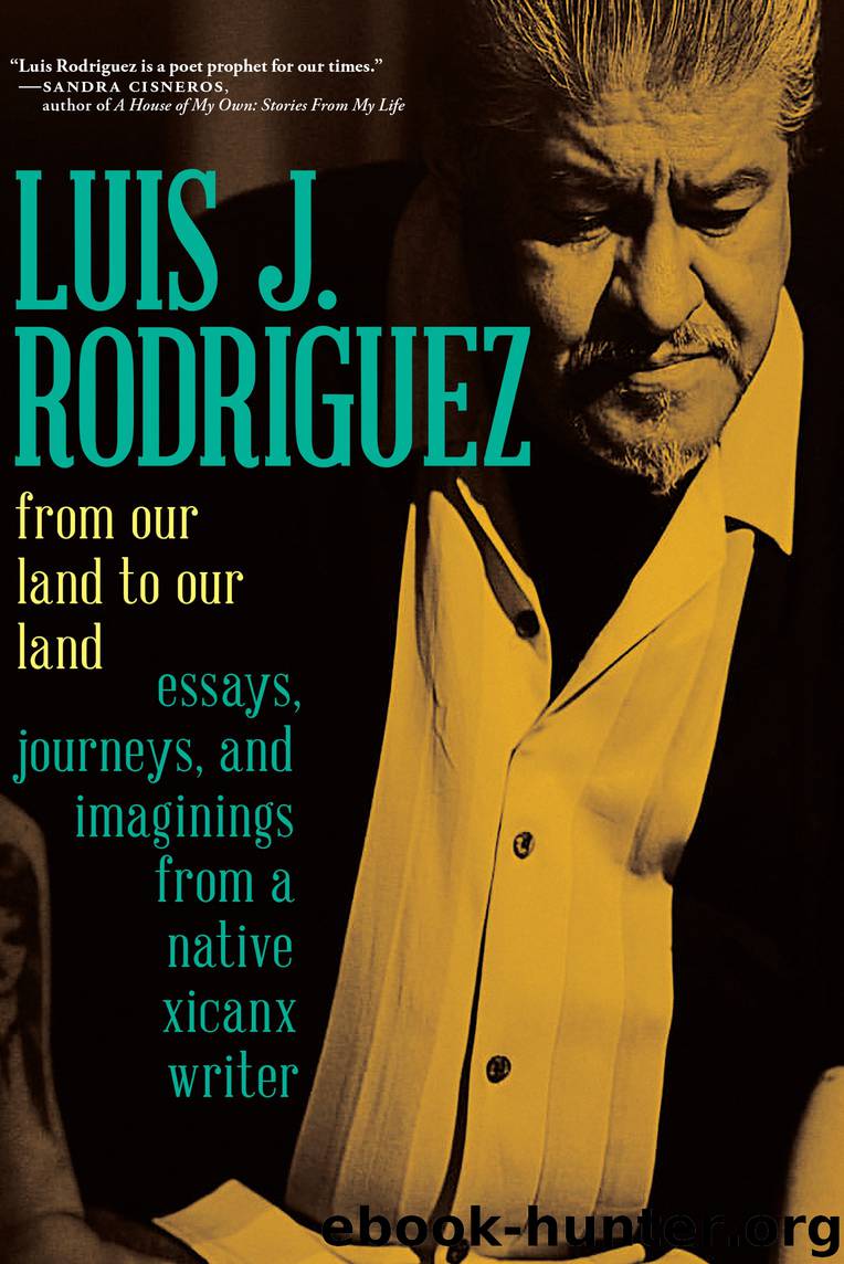 From Our Land to Our Land by Luis J. Rodriguez