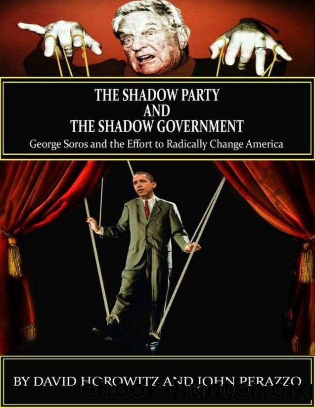 From Shadow Party to Shadow Gov by Unknown