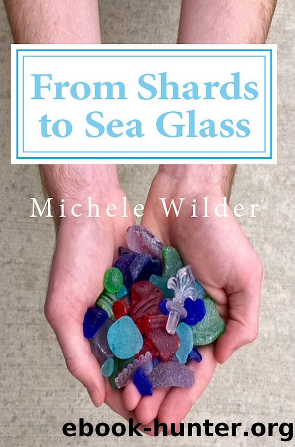 From Shards to Sea Glass by Michele Wilder