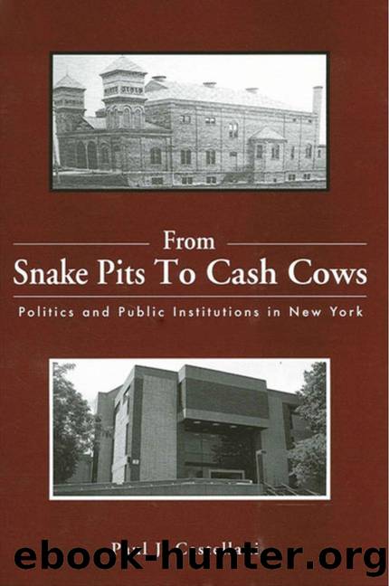 From Snake Pits to Cash Cows : Politics and Public Institutions in New York by Paul J. Castellani