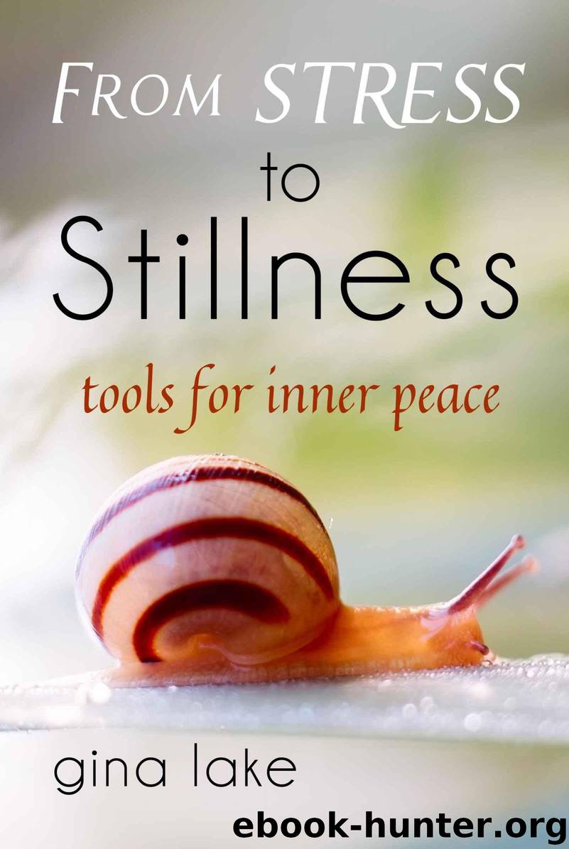 From Stress to Stillness: Tools for Inner Peace by Lake Gina