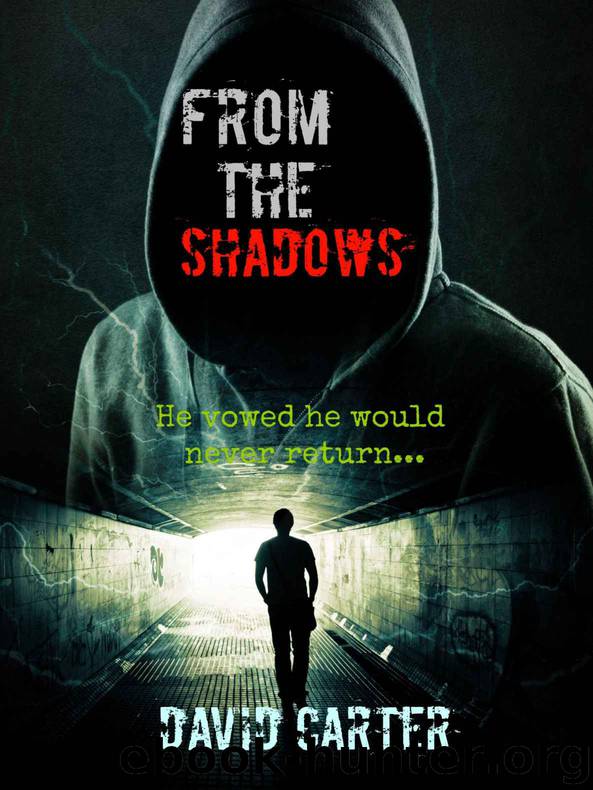 From The Shadows by David Carter