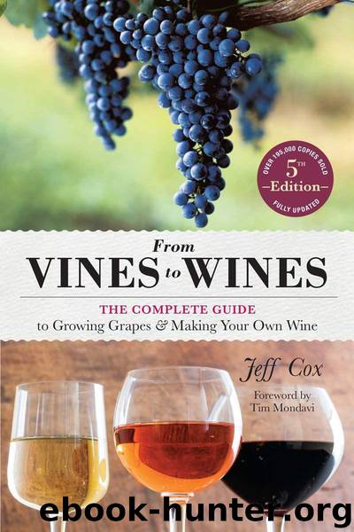 From Vines to Wines, 5th Edition: The Complete Guide to Growing Grapes and Making Your Own Wine by Cox Jeff & Cox Jeff