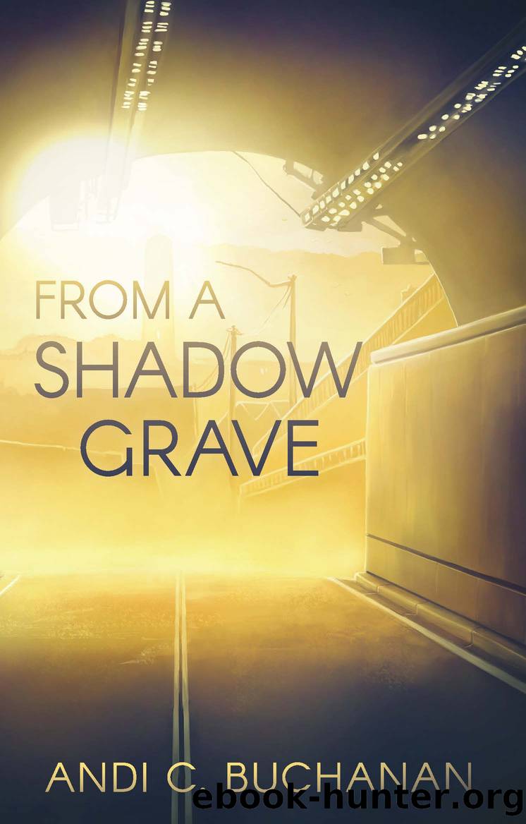 From a Shadow Grave by Andi C. Buchanan