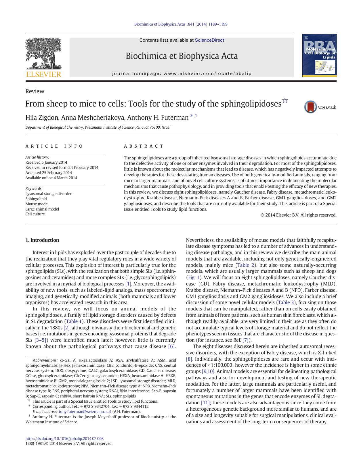 From sheep to mice to cells: Tools for the study of the sphingolipidoses by Hila Zigdon & Anna Meshcheriakova & Anthony H. Futerman