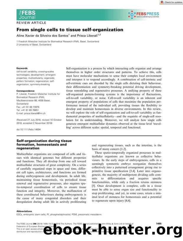 From single cells to tissue selfâorganization by Unknown