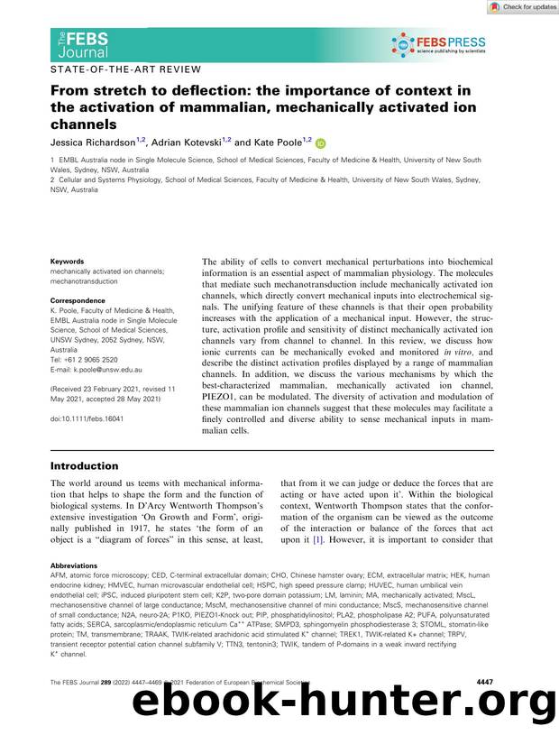 From stretch to deflection: the importance of context in the activation of mammalian, mechanically activated ion channels by Unknown