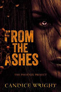 From the Ashes: The Phoenix Project (The Phoenix Project Duet Book One) by Candice Wright