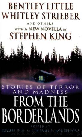 From the Borderlands: Stories of Terror and Madness by unknow
