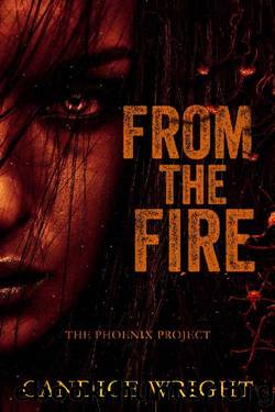 From the Fire: The Phoenix Project (The Phoenix Project Duet Book 2) by Candice Wright