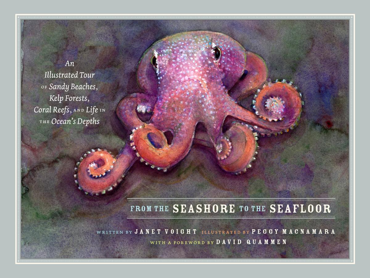 From the Seashore to the Seafloor: An Illustrated Tour of Sandy Beaches, Kelp Forests, Coral Reefs, and Life in the Ocean by Janet Voight