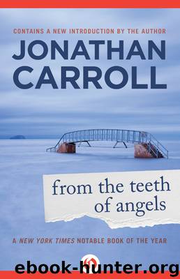 From the Teeth of Angels by Jonathan Carroll
