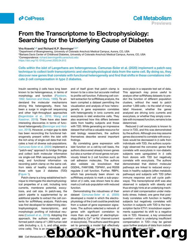 From the Transcriptome to Electrophysiology: Searching for the Underlying Cause of Diabetes by Vira Kravets & Richard K.P. Benninger