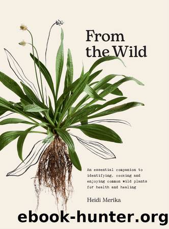 From the Wild: An Essential Companion to Identifying, Cooking and Enjoying Common Wild Plants for Health and Healing by Merika Heidi;