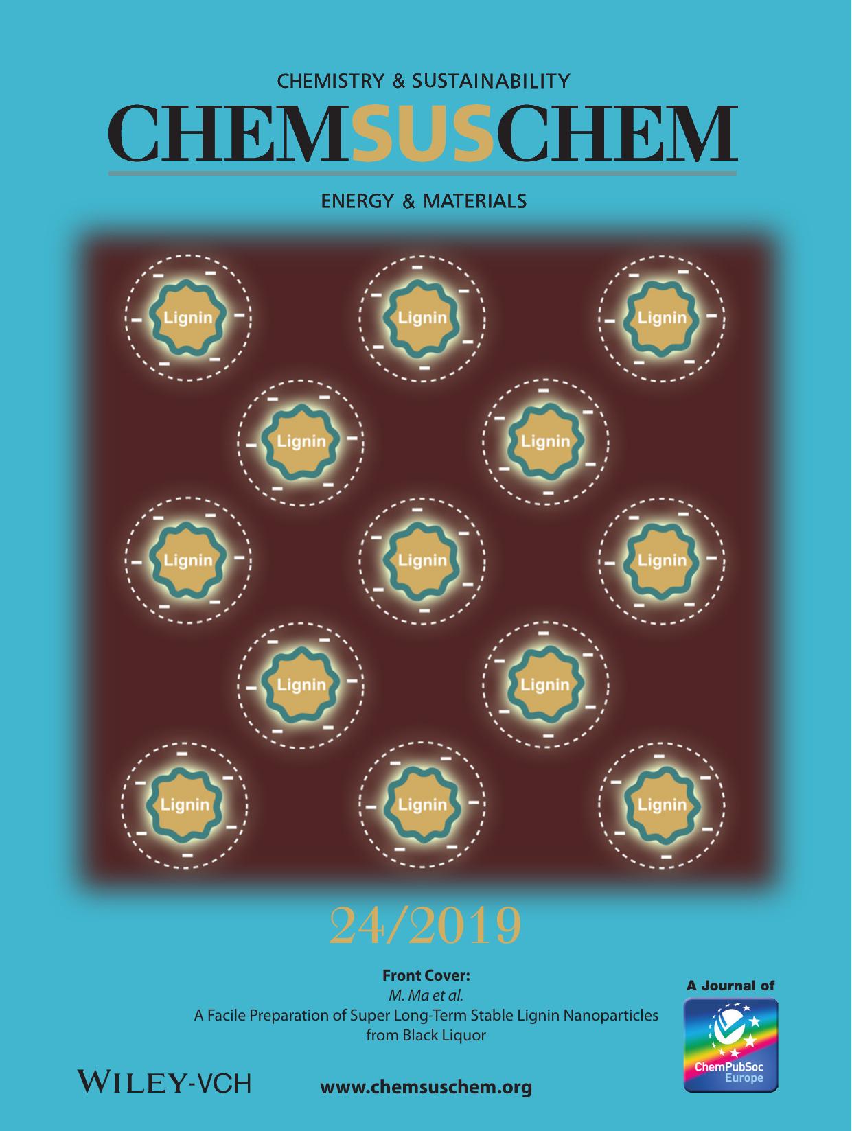 Front Cover: A Facile Preparation of Super LongâTerm Stable Lignin Nanoparticles from Black Liquor (ChemSusChem 242019) by Unknown