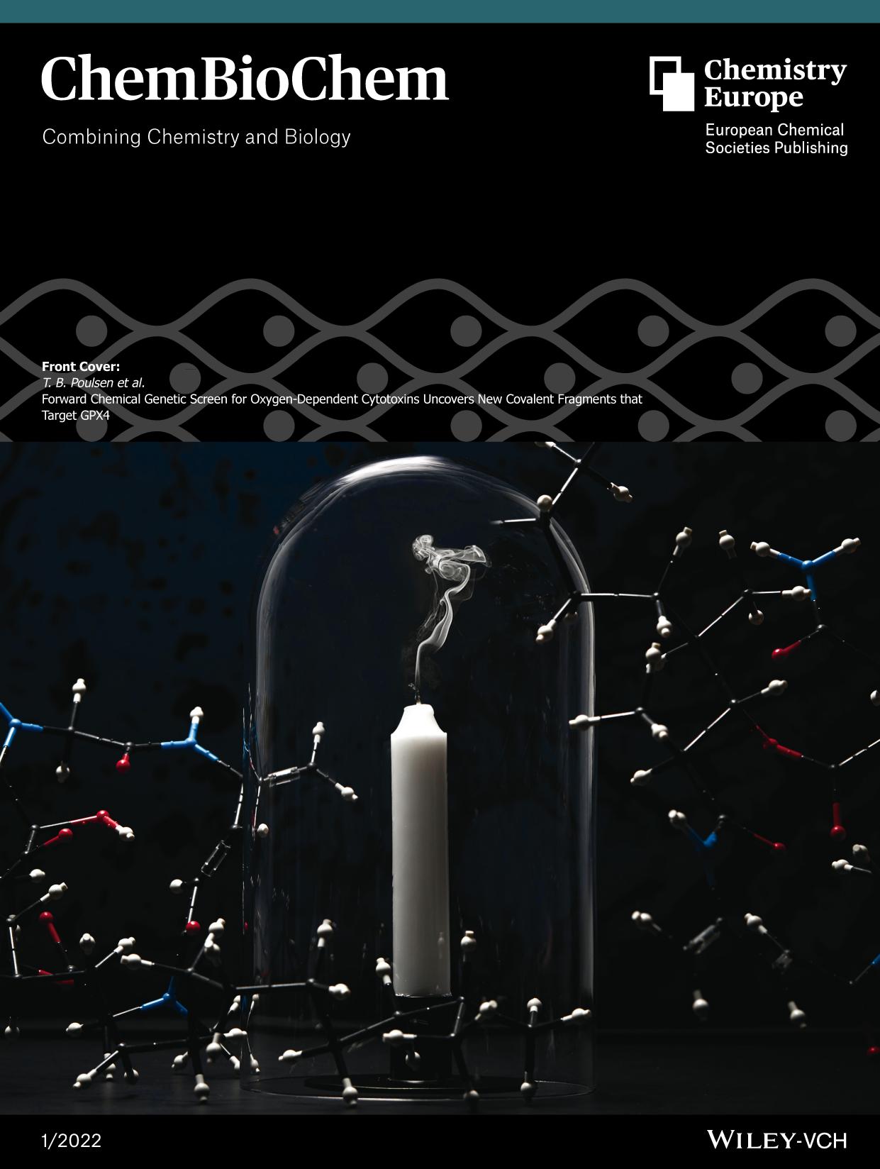 Front Cover: Forward Chemical Genetic Screen for OxygenâDependent Cytotoxins Uncovers New Covalent Fragments that Target GPX4 (ChemBioChem 12022) by Unknown