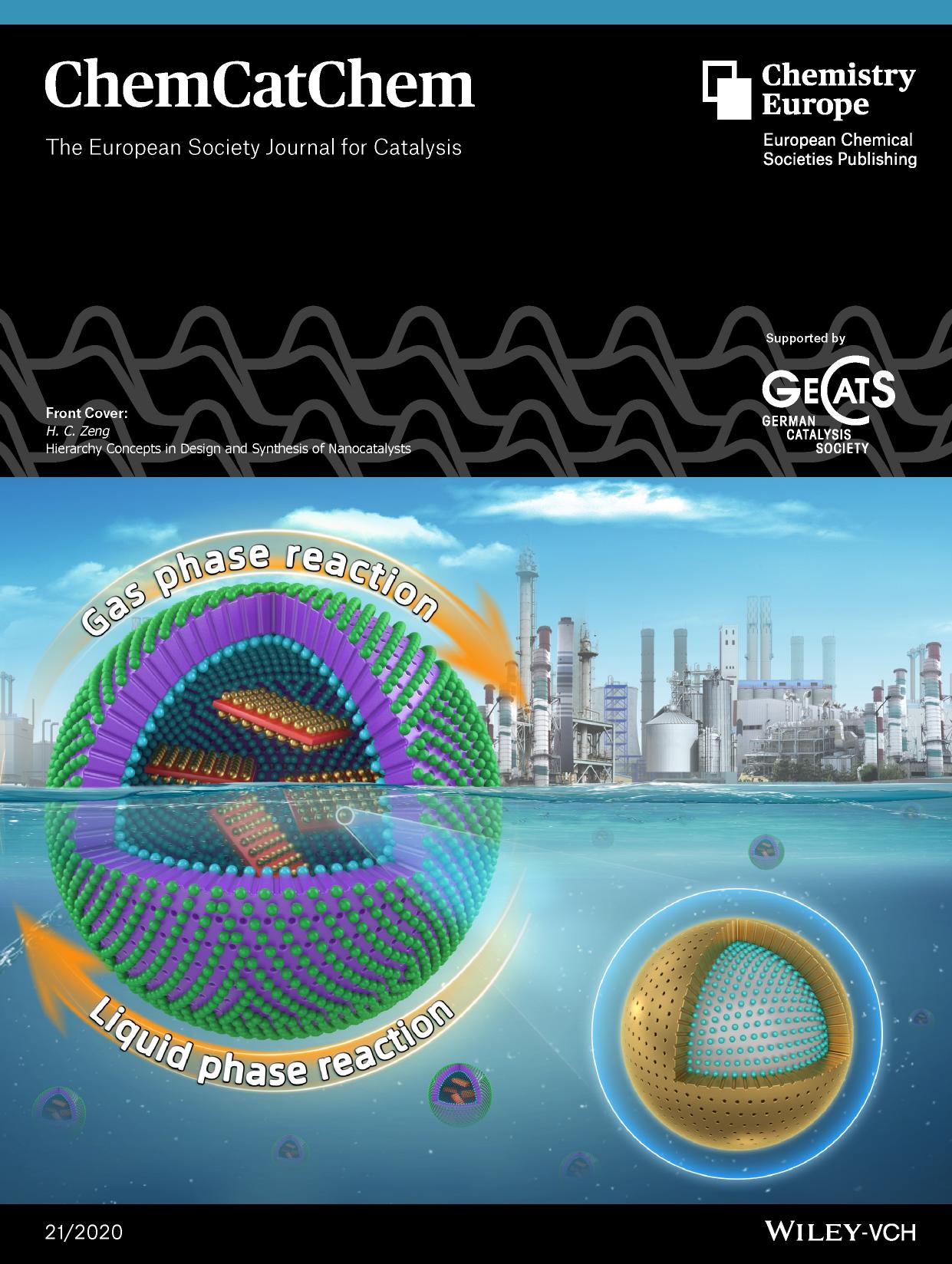 Front Cover: Hierarchy Concepts in Design and Synthesis of Nanocatalysts (ChemCatChem 212020) by Unknown