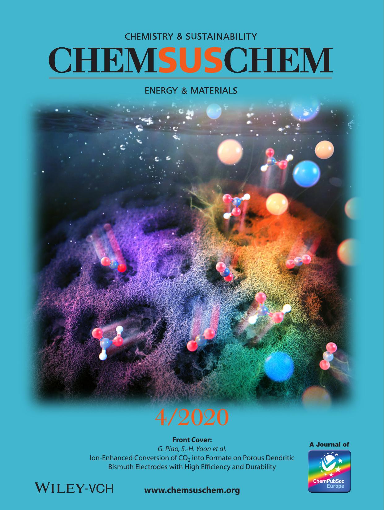Front Cover: IonâEnhanced Conversion of CO2 into Formate on Porous Dendritic Bismuth Electrodes with High Efficiency and Durability (ChemSusChem 42020) by Unknown