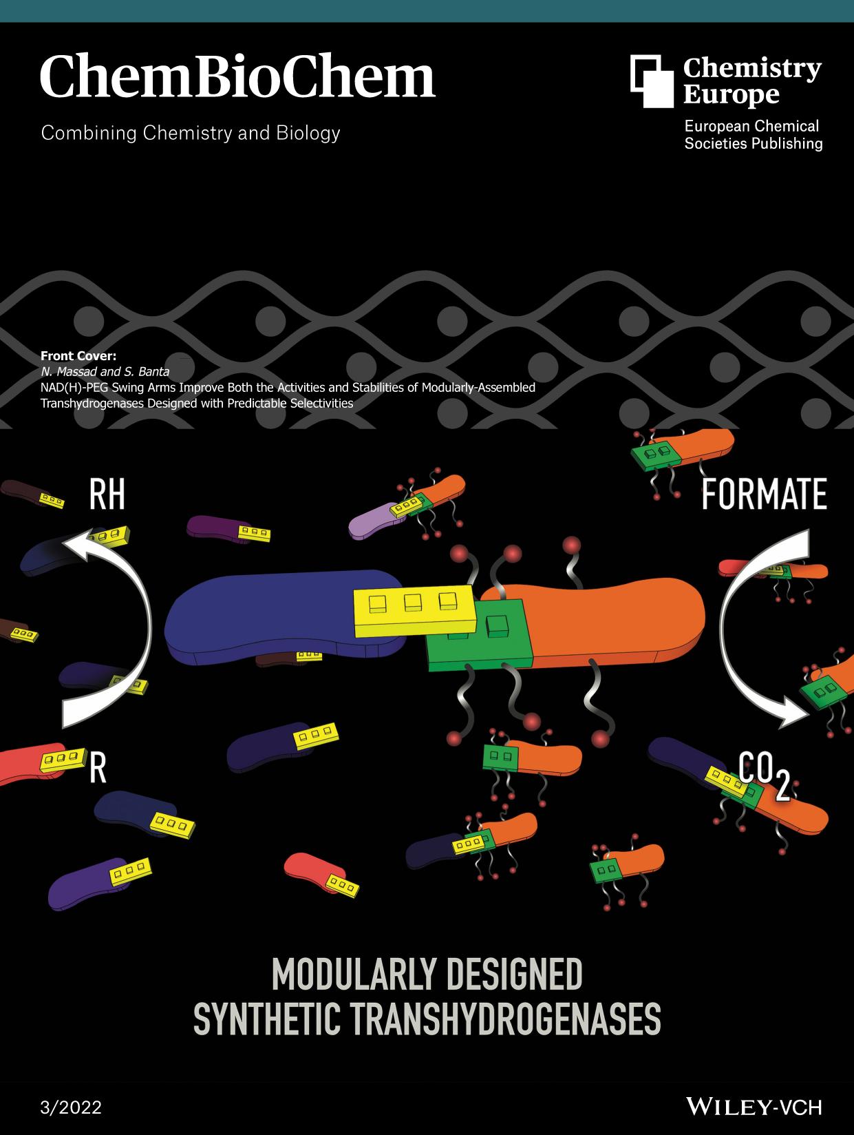 Front Cover: NAD(H)âPEG Swing Arms Improve Both the Activities and Stabilities of ModularlyâAssembled Transhydrogenases Designed with Predictable Selectivities (ChemBioChem 32022) by Unknown