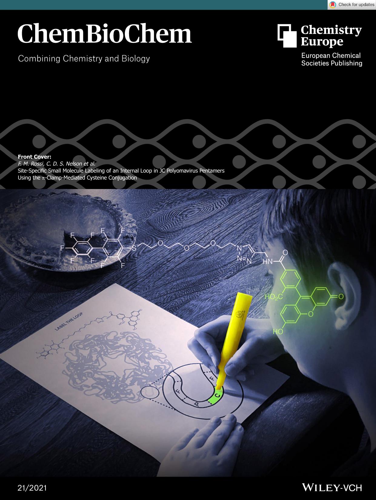 Front Cover: SiteâSpecific Small Molecule Labeling of an Internal Loop in JC Polyomavirus Pentamers Using the ÏâClampâMediated Cysteine Conjugation (ChemBioChem 212021) by Unknown
