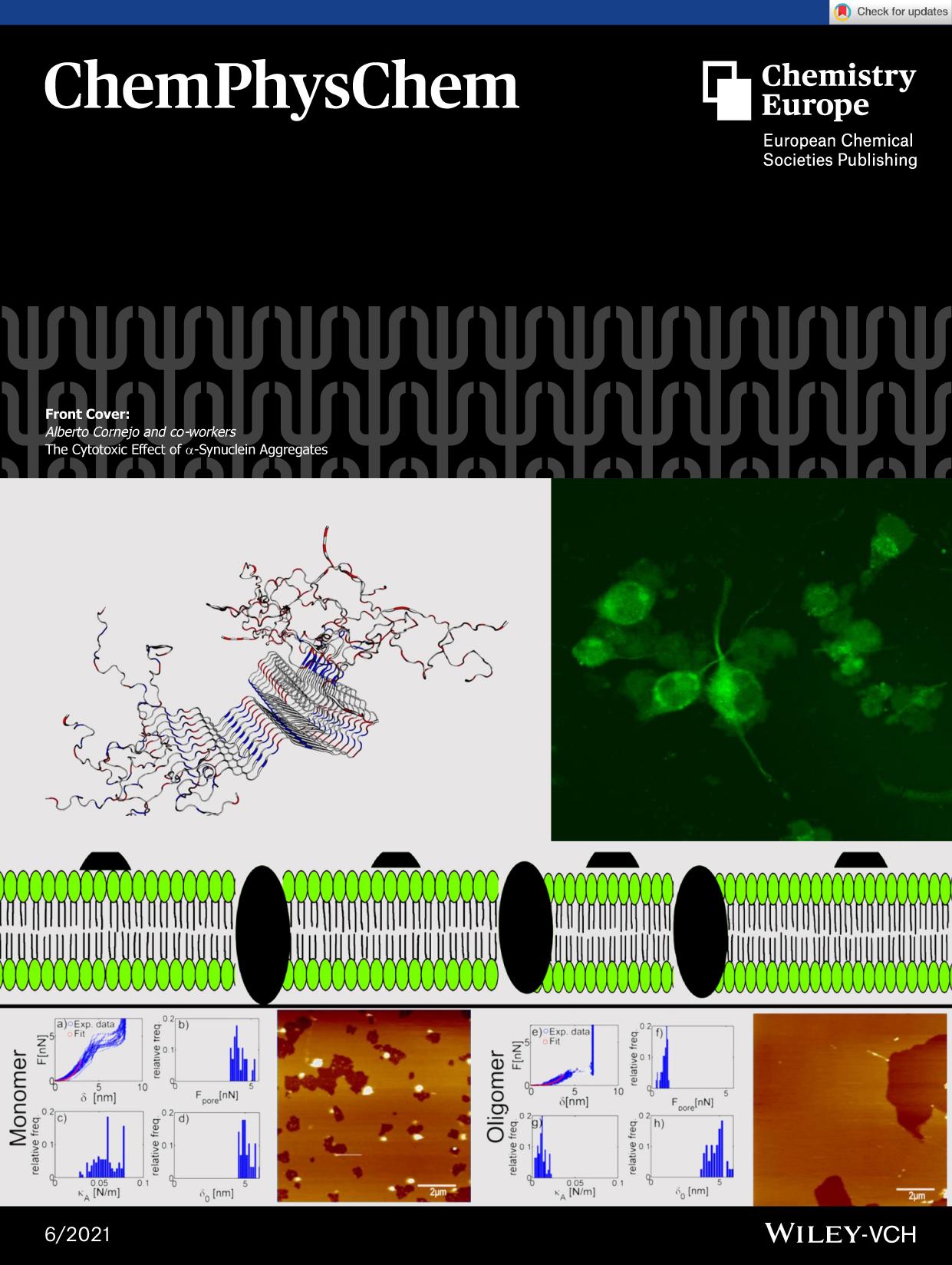 Front Cover: The Cytotoxic Effect of Î±âSynuclein Aggregates (62021) by Unknown