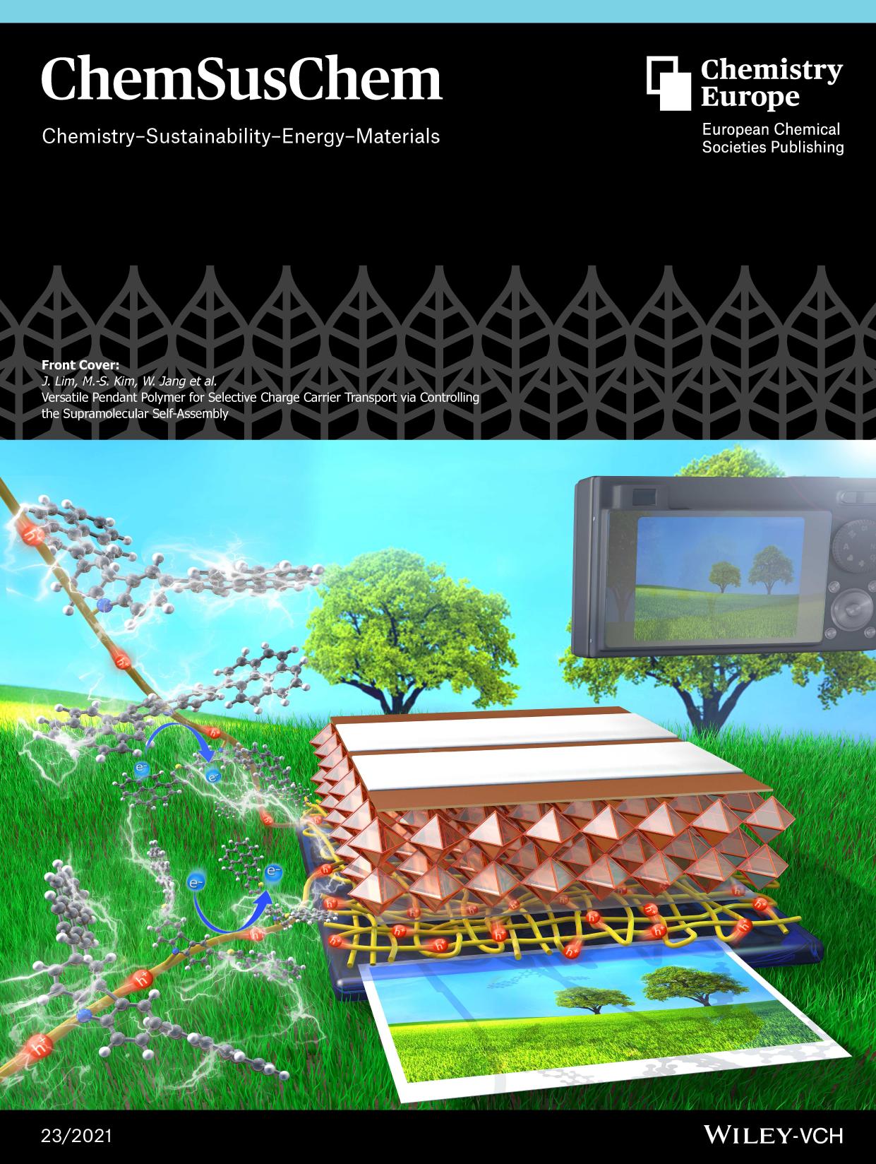 Front Cover: Versatile Pendant Polymer for Selective Charge Carrier Transport via Controlling the Supramolecular SelfâAssembly (ChemSusChem 232021) by Unknown