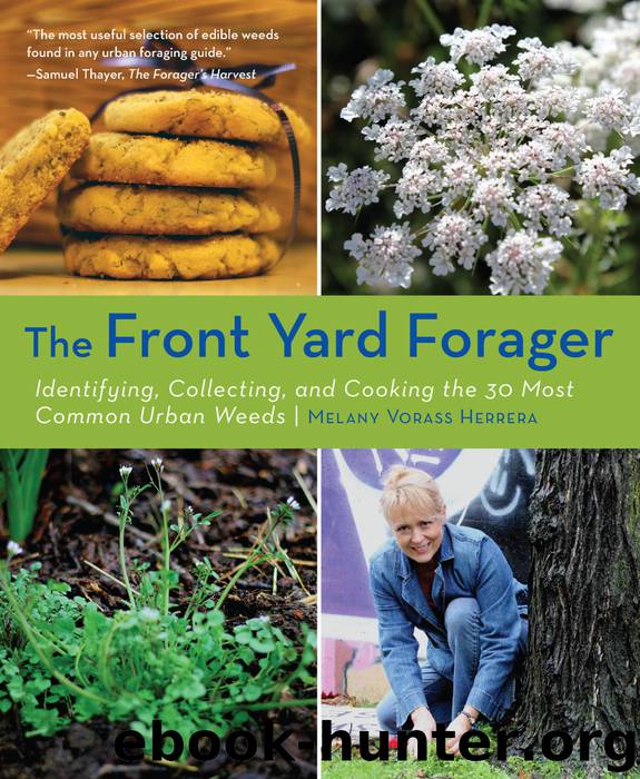 Front Yard Forager by Melany Vorass